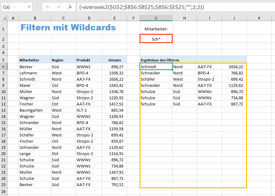 Excel Beispiel für Filtern mit Wildcards